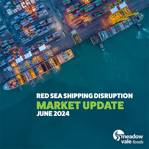 Market Report June 2024 (Red Sea Update) Blog image.jpg