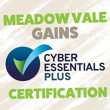 Meadow Vale Cyber Essentials Blog Image.png