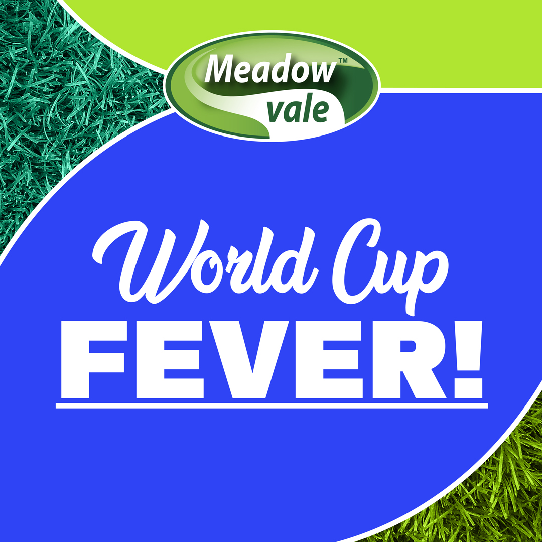 World-Cup-Fever-Blog-1.jpg